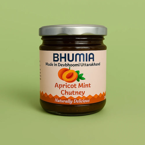 Apricot Mint Chutney 250gm.